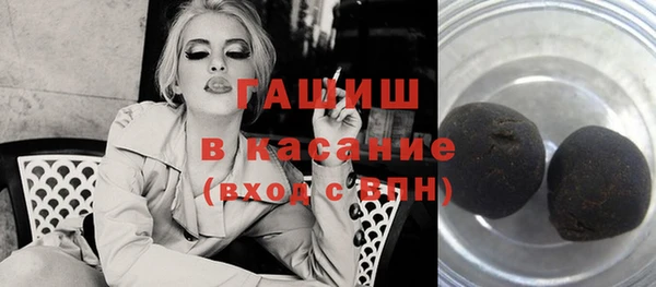 хмурый Ельня
