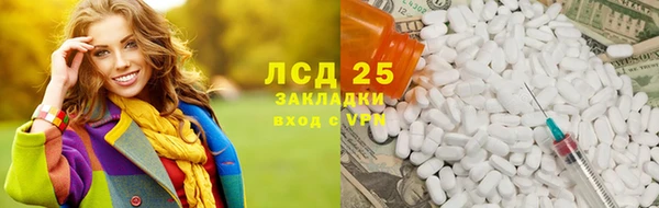 хмурый Ельня