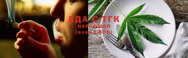 хмурый Ельня