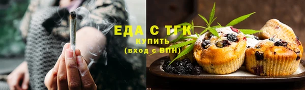 хмурый Ельня