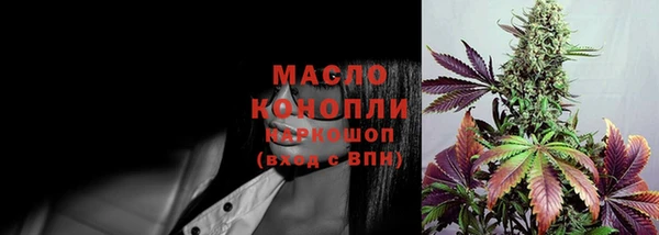 хмурый Ельня