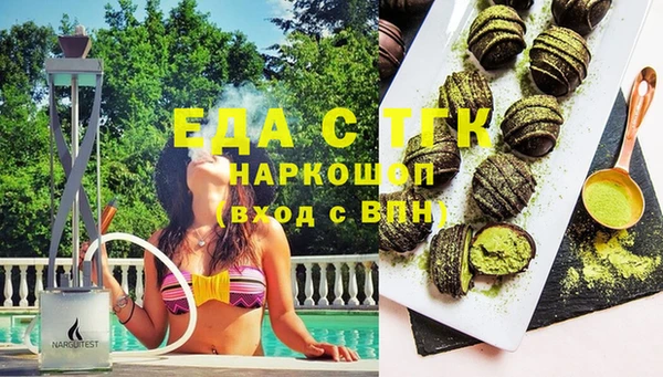 хмурый Ельня