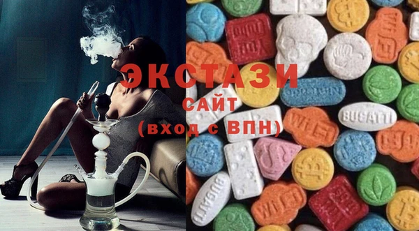 хмурый Ельня