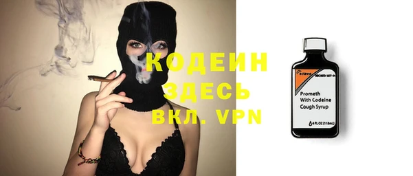 хмурый Ельня