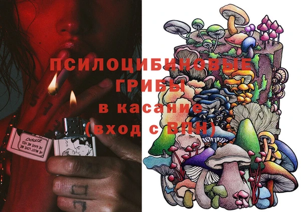 хмурый Ельня