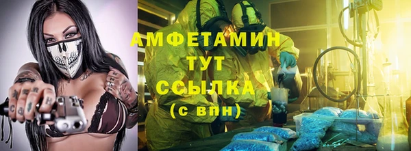 хмурый Ельня