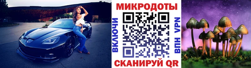 Галлюциногенные грибы GOLDEN TEACHER  Купить закладки  Ядрин 